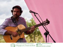 Festival Mar de Tethys 2026 - Bodega Vetas